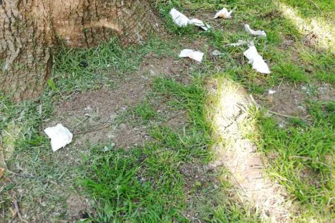 Au fost ”igienici”! S-au șters la fund! ”Treabă mare” printre castanii de pe Bulevardul Independenței