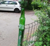 Cum au descoperit ploieștenii berea la gard sau pe gard?