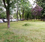 E de bine! A venit cosașul pe Bulevard!