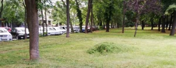 E de bine! A venit cosașul pe Bulevard!